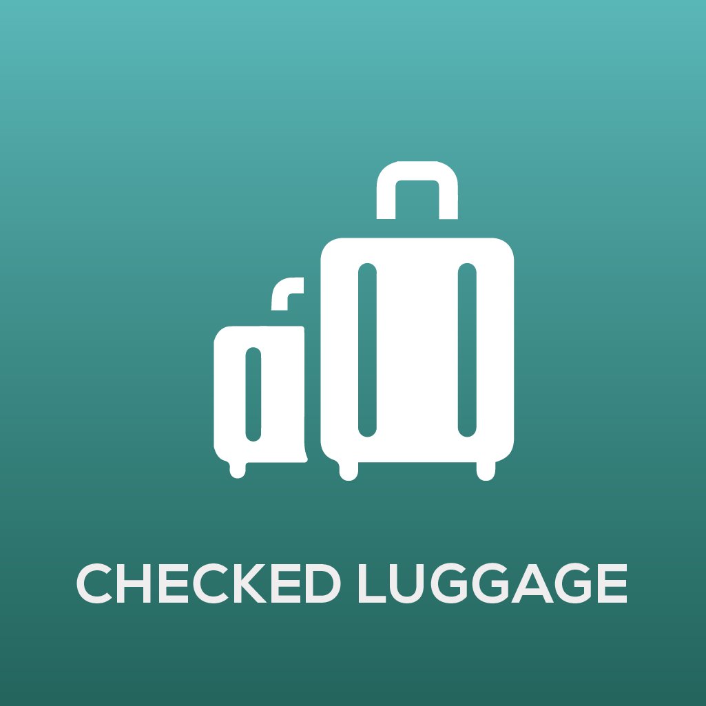 Checked Luggage