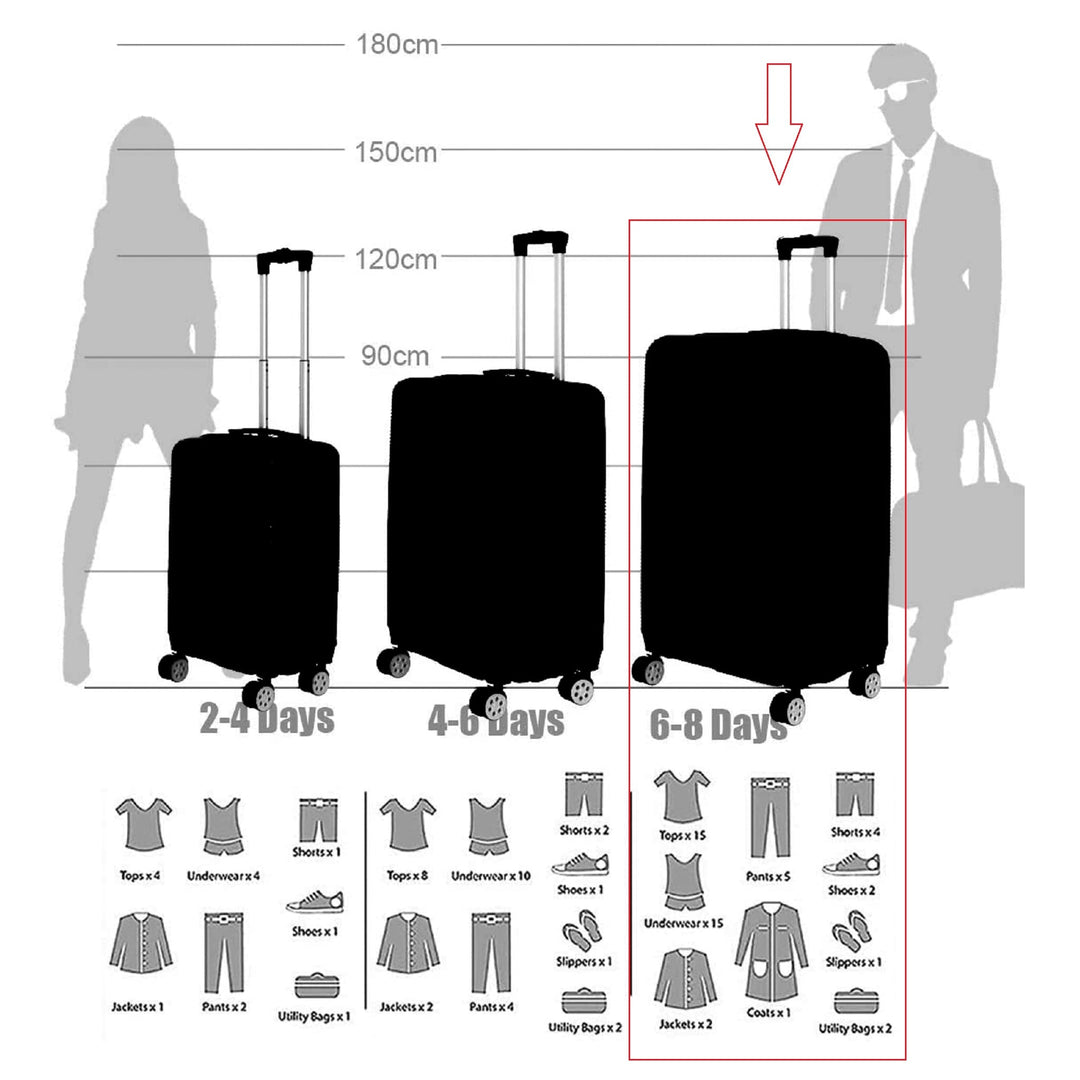 Sky Bird Flat ABS Luggage Trolley Bag 1 Piece Big Size 28" inch With Beauty Bag, Silver