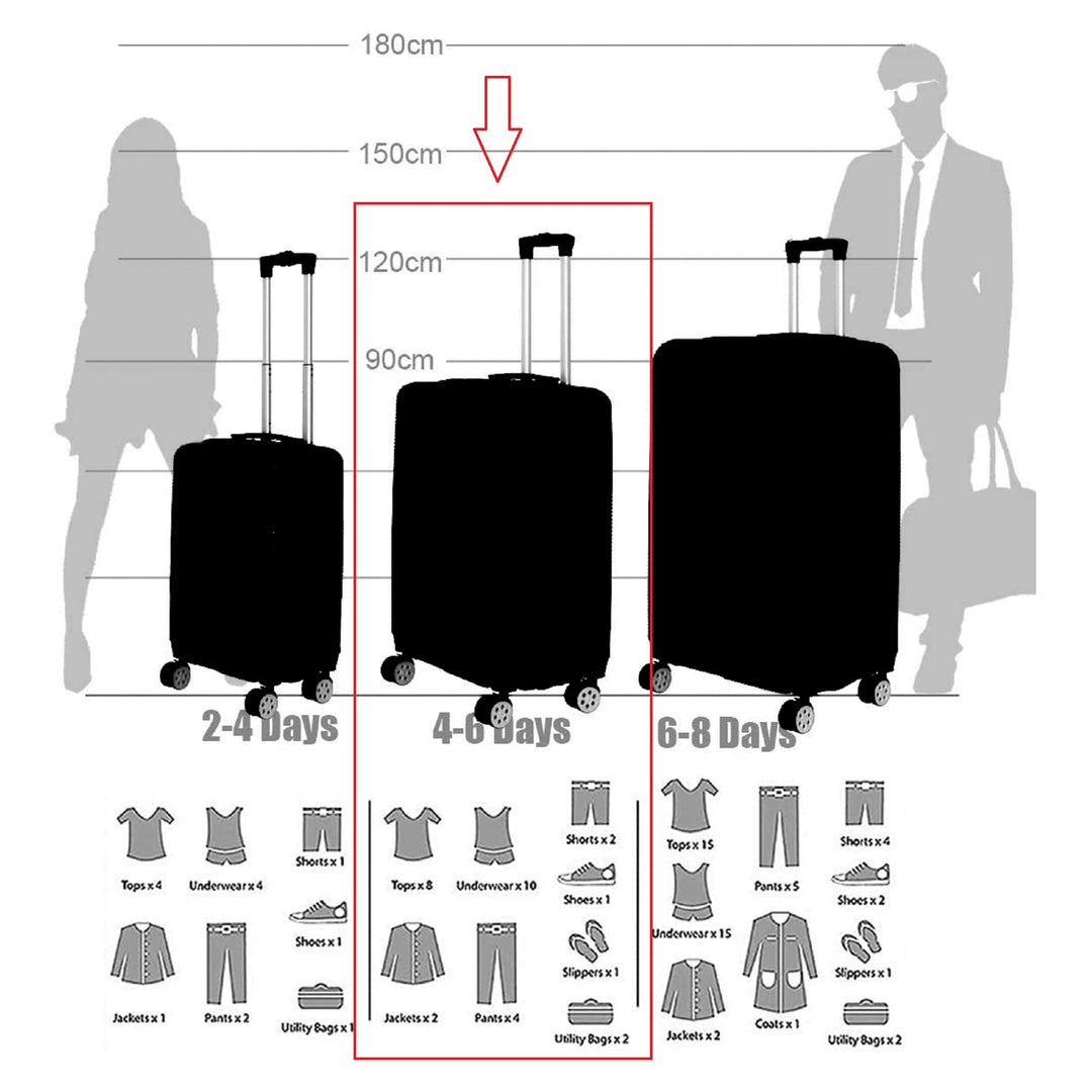 Sky Bird Safari ABS Luggage Trolley Bag 1 Piece Medium Size 24" inch, Milky White