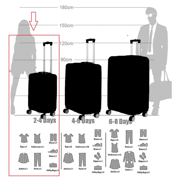 Sky Bird Safari ABS Luggage Trolley Bag 1 Piece Small Size 20" inch, Rose Gold