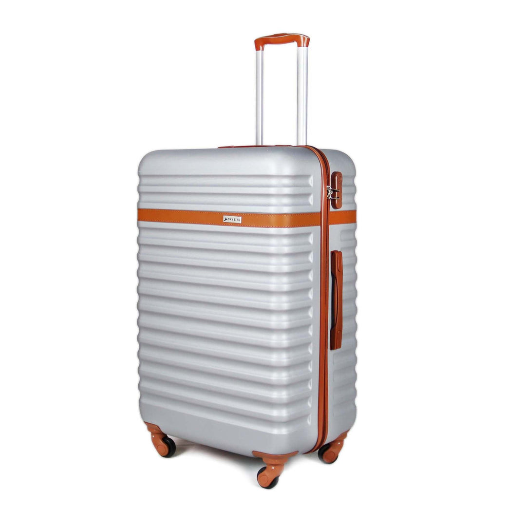 Sky Bird Classic ABS Luggage Trolley Carry-on Small Bag 20inch, Silver
